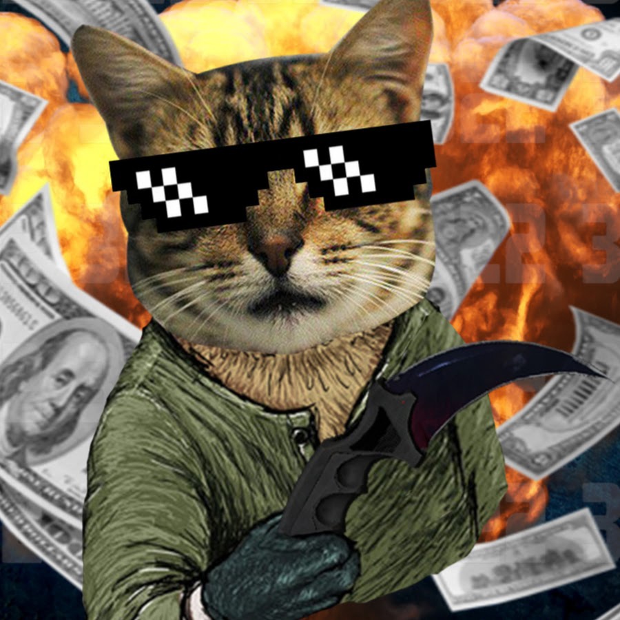  50 