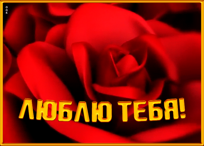 28. Прикольная открытка любимой с крупными красными розами
