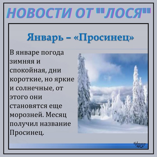 5. Красивая открытка 21 Января Просинец