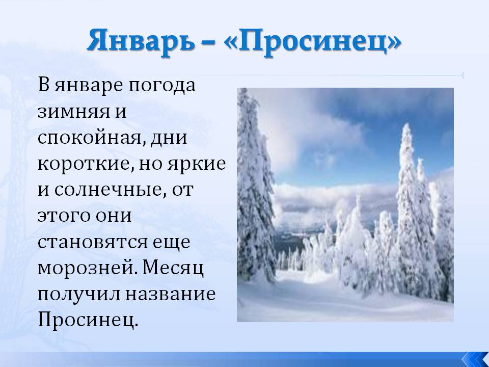 10. Почему январь назвали январем, Название месяцев Просинец