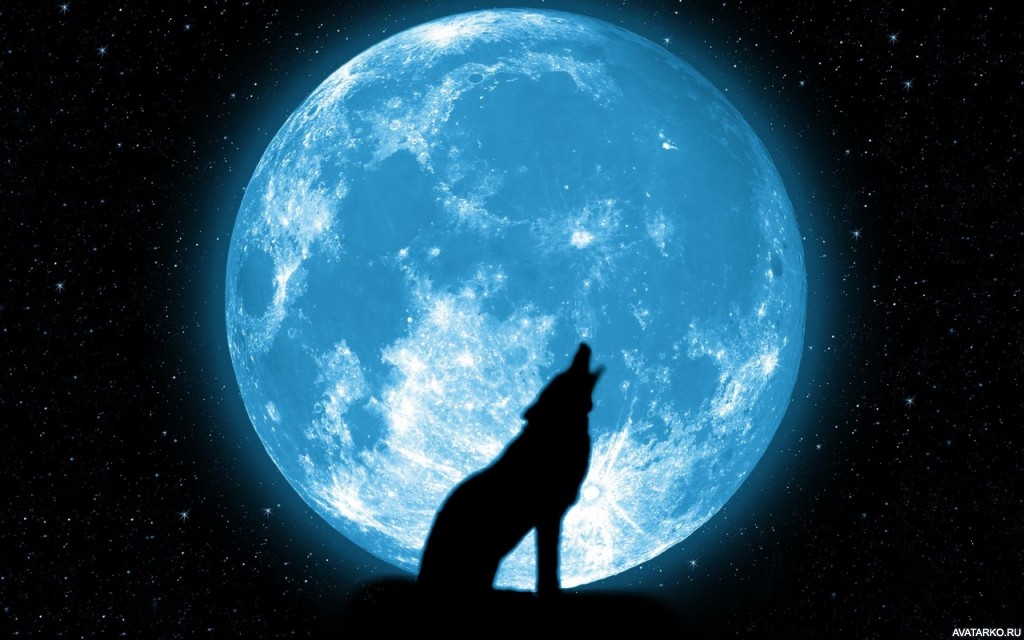 109. Силуэт воющего волка на фоне огромной луны голубого цвета