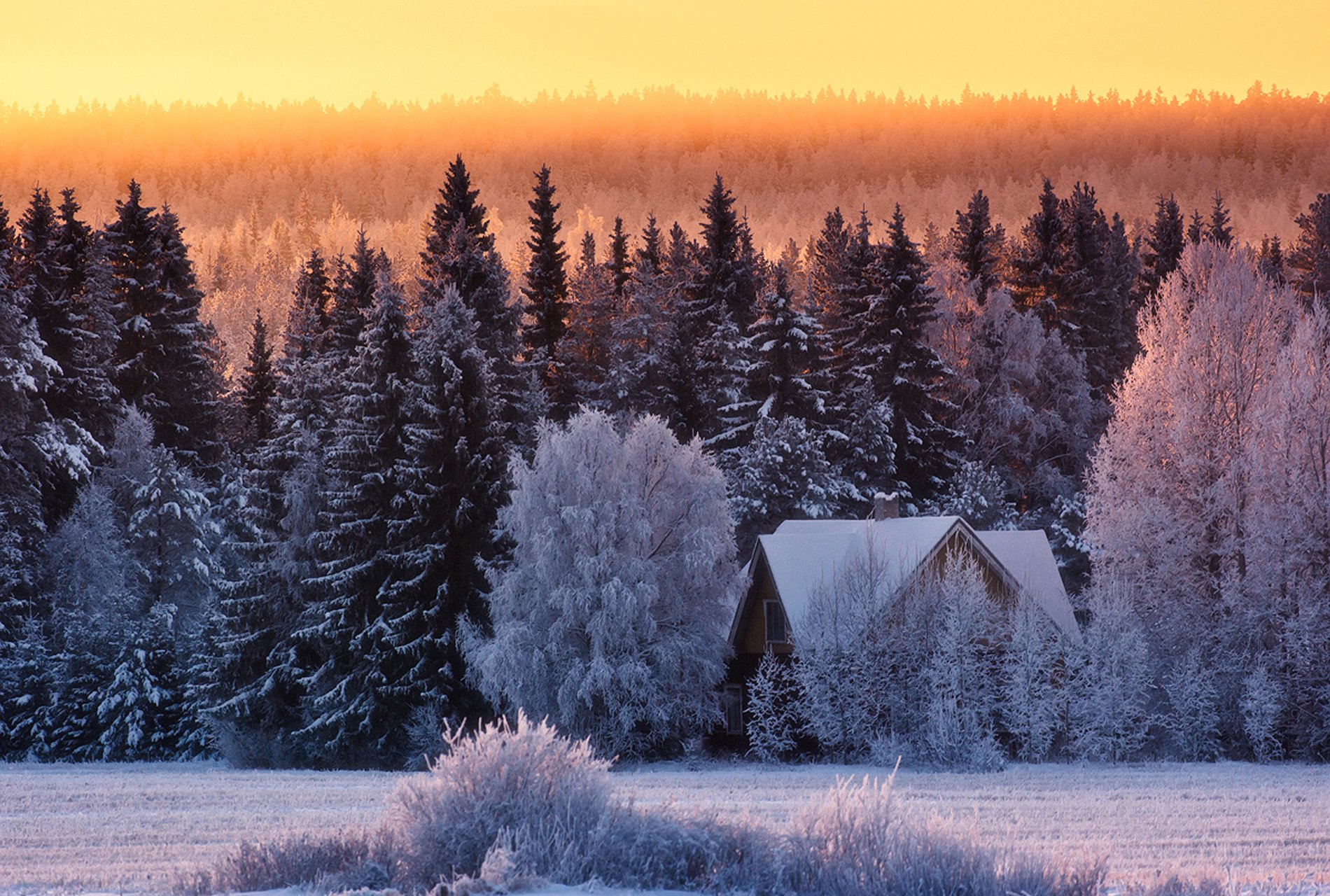 35. Зима лес снег елки небо закат облака природа красота — картинки.