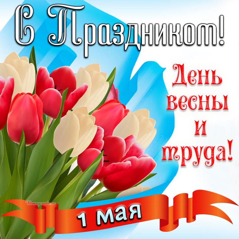 Картинка с яркими тюльпанами на День весны и труда.