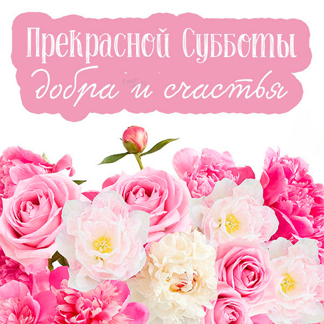 Красивые пожелания субботнего дня. Розовые цветы. Фон цветы. Баннер цветы. Нежно розовые цветы.