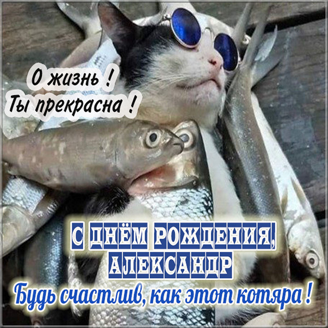 Прикольные картинки Саше на день рождения!