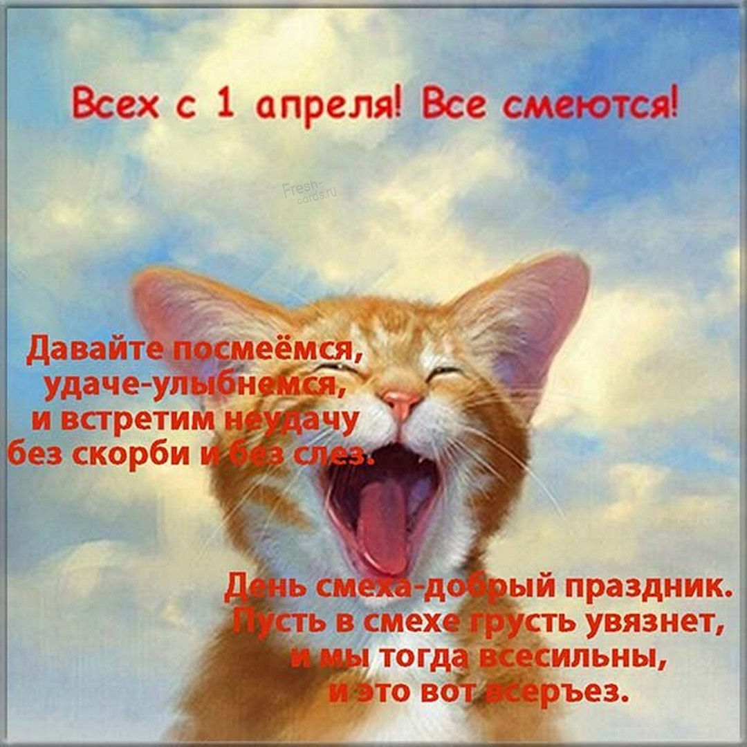 День давайте смеяться картинки. Кот смеется. Рыжий кот улыбается. Рыжий кот смеется. Радостный кот.