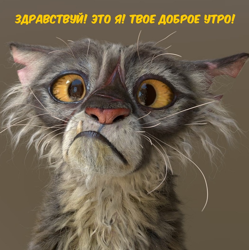 24. Кто за то, чтобы утро начиналось в 12 часов дня? Зато всегда будет добрым!