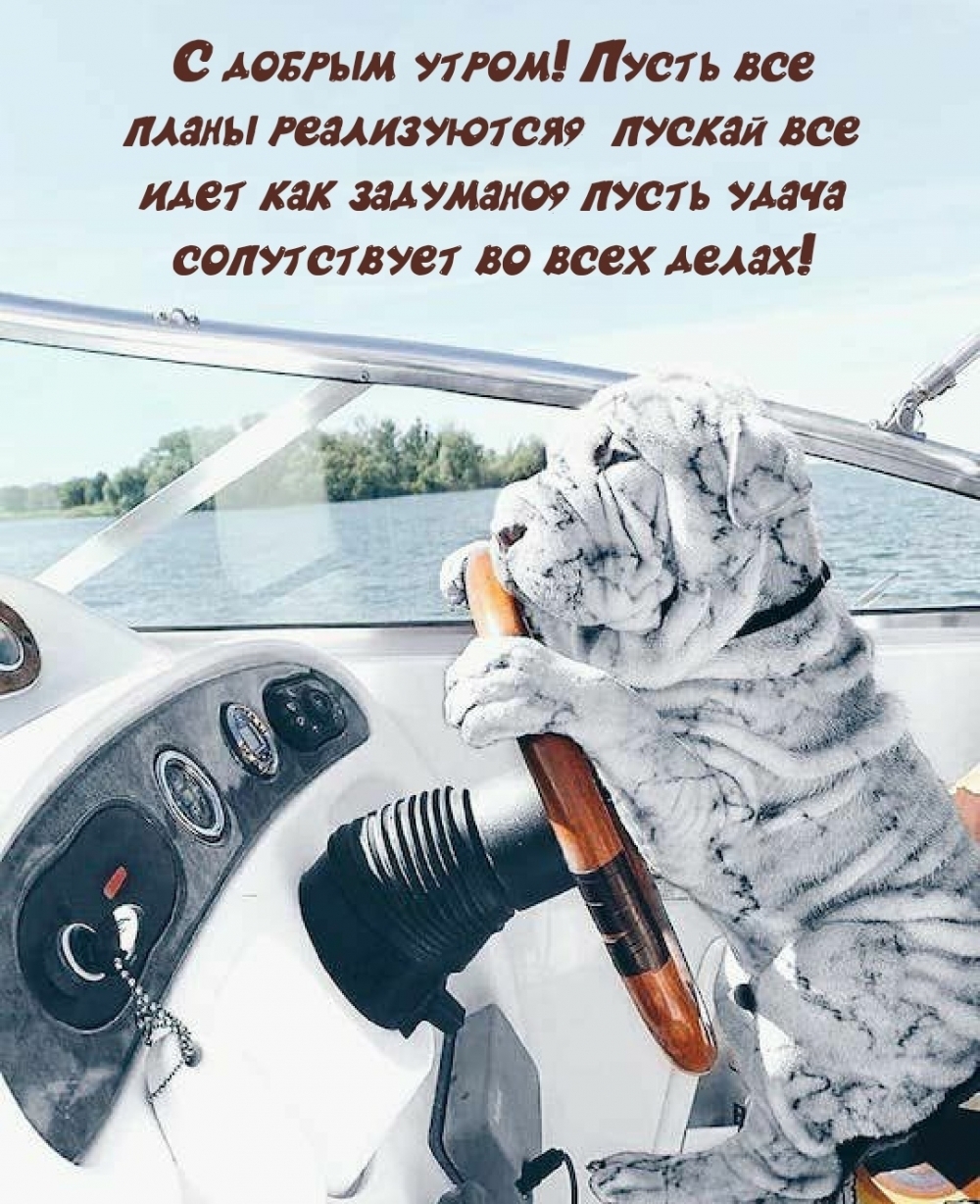 16. Кто-нибудь знает сколько коньяка наливать в кофе утром, чтобы оно было добрым ?