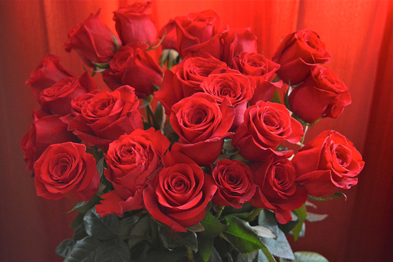 шикарный букет роз на день рождения