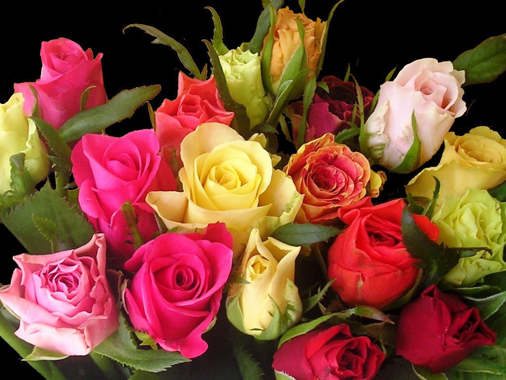 Бесплатные красивые открытки букеты цветов. Красивый букет. Роскошные цветы. Прекрасный букет. Красивый букет роз.