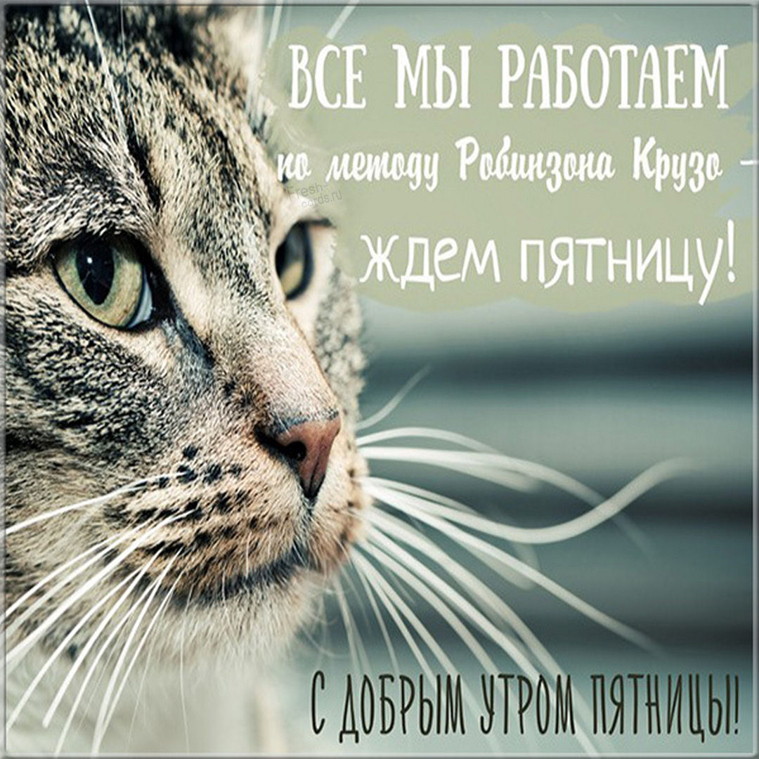 Удивительные картинки с добрым утром в пятницу — 60 открыток. Доброе утро пятницы, Открытки с добрым утром пятницы.