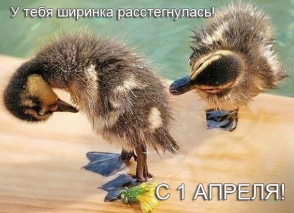 1 Апреля день смеха, Открытка с 1 апреля днем смеха, День смеха день дурака.