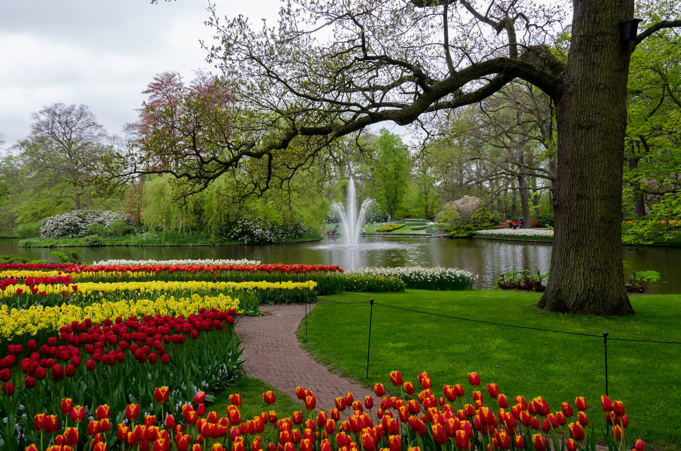 Парк в голландии