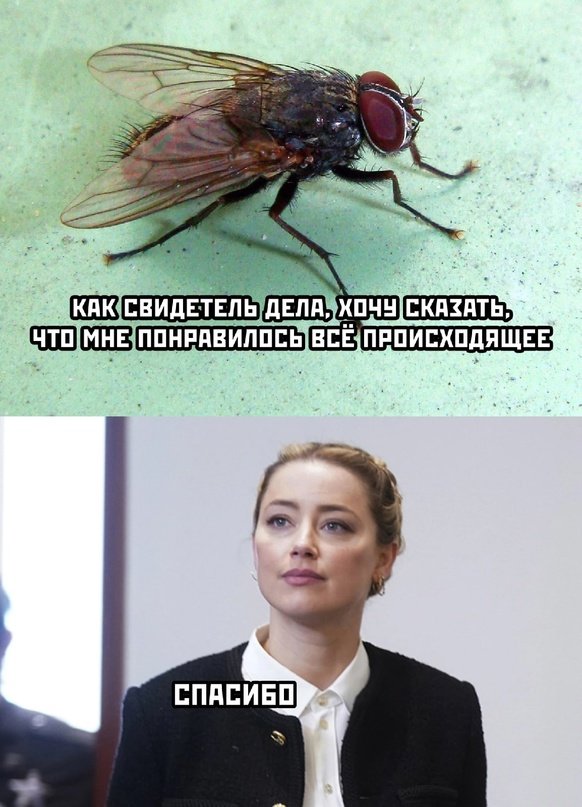 Первая :