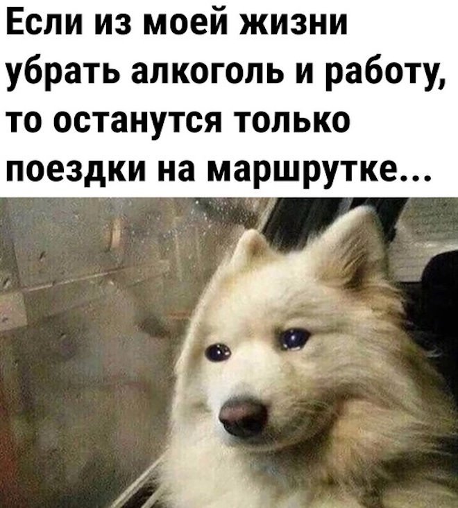 — Пусть та скала рассыпется на столько кусков, сколько в моей жизни было мужчин!