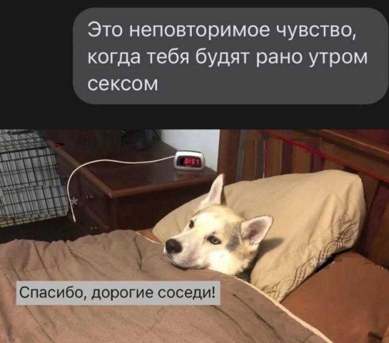 — Что случилось?