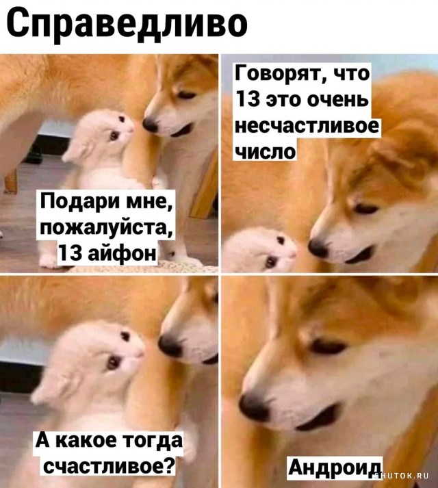 — Да все спят. Можешь проверить — попроси у них воды.