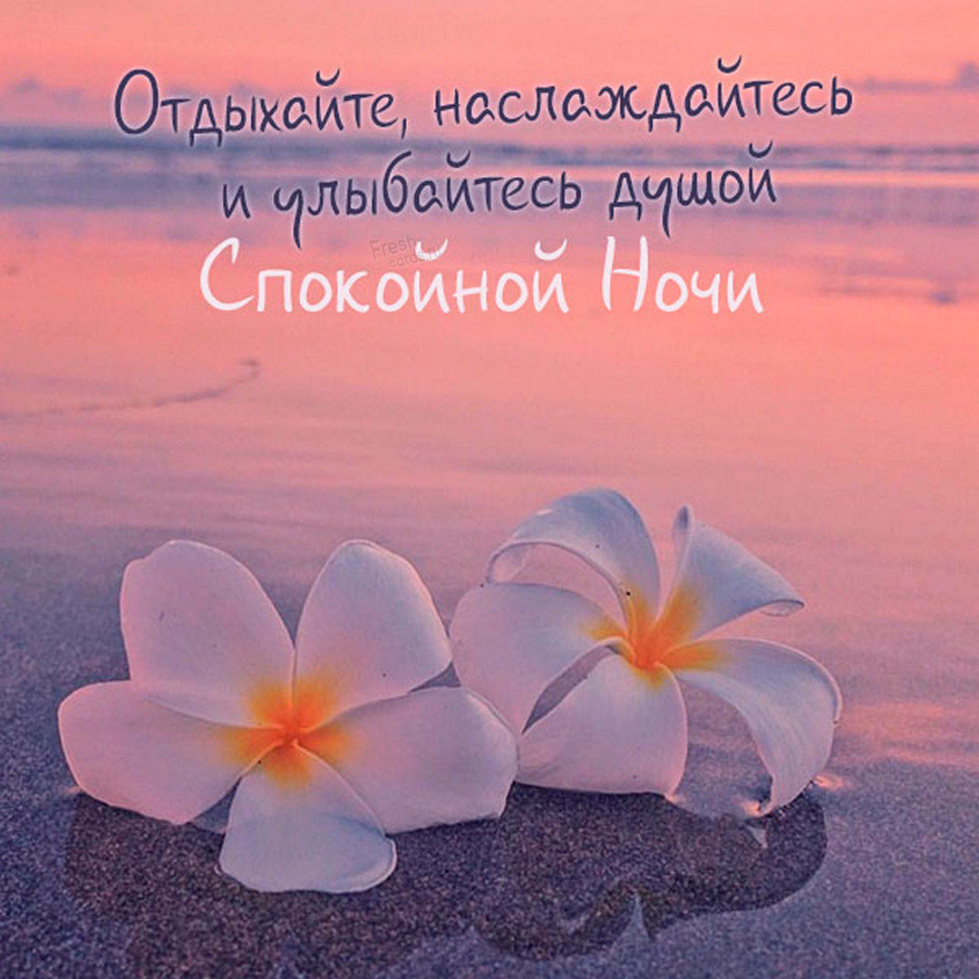 Лето ночь природа.