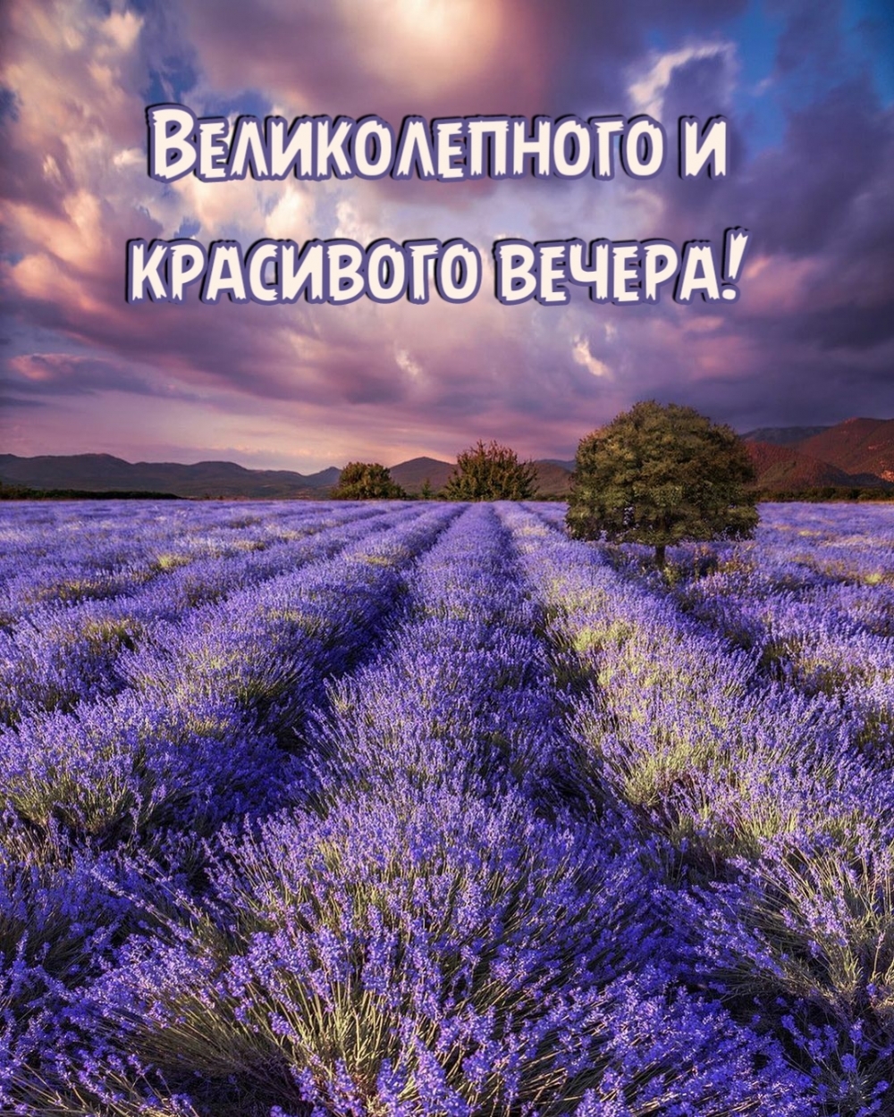 Красивая картинка — Чудесного летнего Вечера, открытку подарить в подарок!