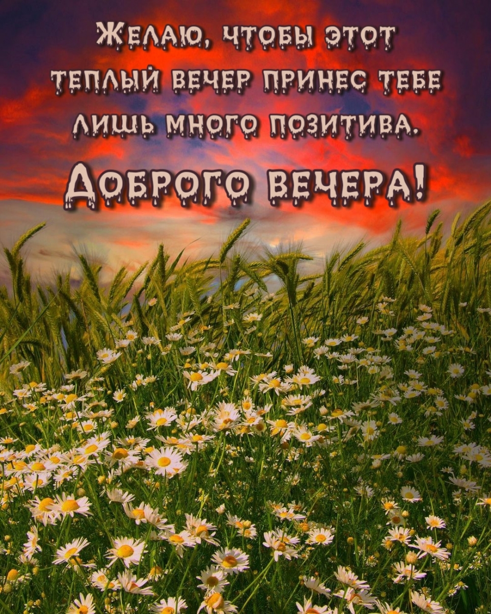 Пожелайте своим близким и родным приятного летнего вечера, отправив им красивую открытку.