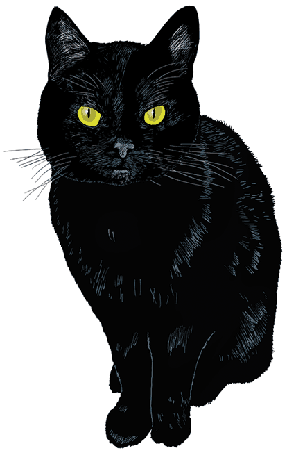 1. Гифка Ностальгия. Вот так и выглядела моя кошка, про которую упоминал в заметке. Густая чёрная шерсть и жёлтые глаза.