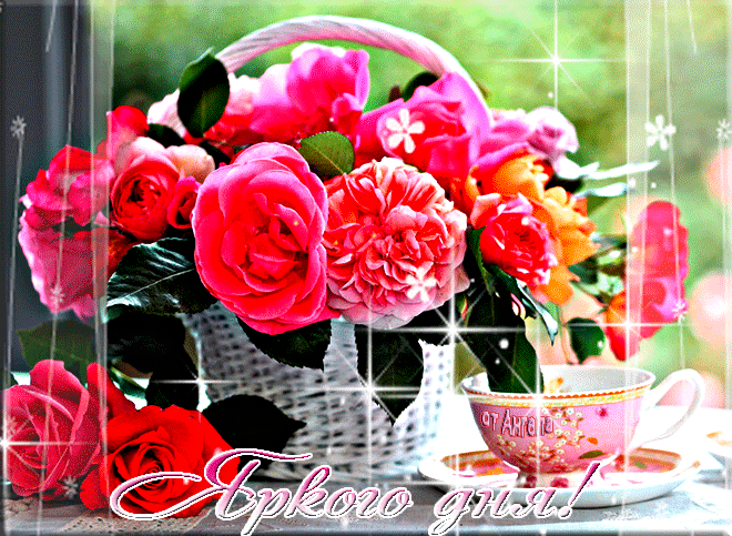 Добрый день гифки мерцающие и хорошего настроения. Доброго дня и хорошего настроения розы. Цветы для настроения мерцающие. Цветы с прекрасным днем и настроением. Добрый день с красивыми цветами.