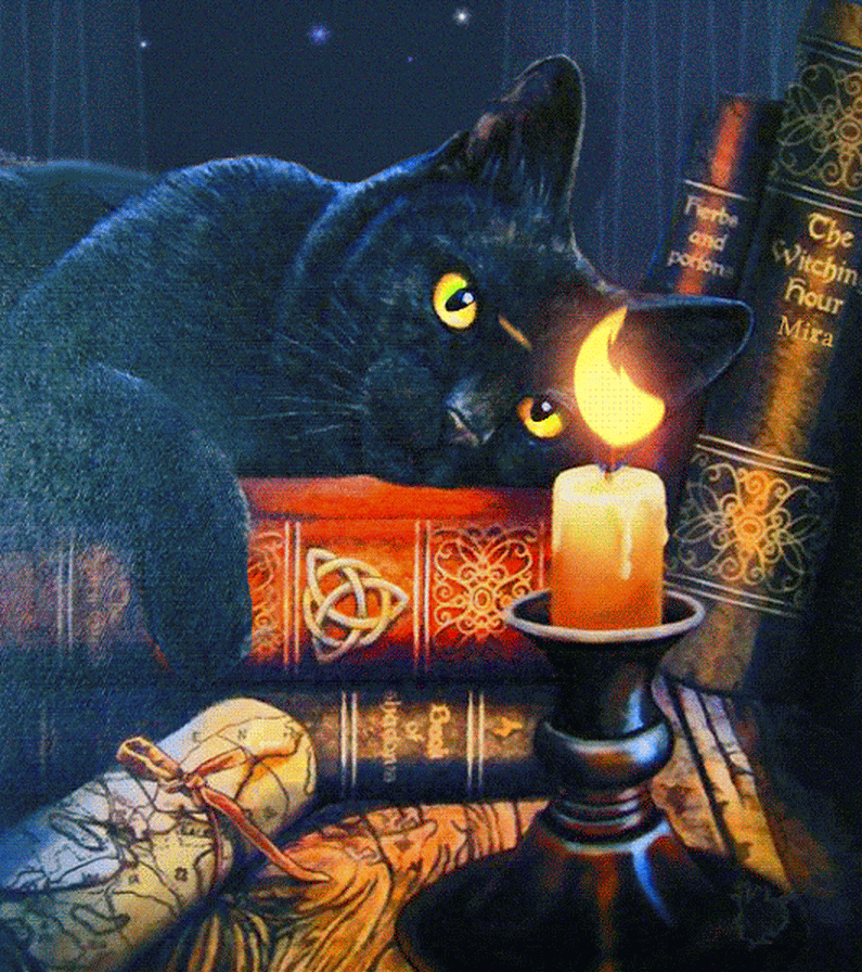 8. Смешная и забавная gif картинка кошка тушит свечу, всем спокойной ночи!