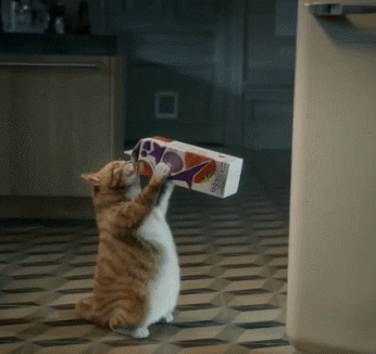 1. Гифка кот пьёт молоко из коробки