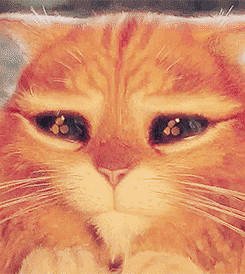 1. Гифка невинный взгляд кота из мультфильма «Кот в сапогах»