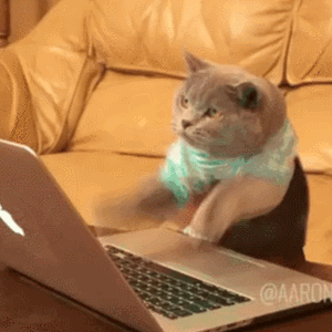 1. Смешная гифка кот печатает на ноутбуке