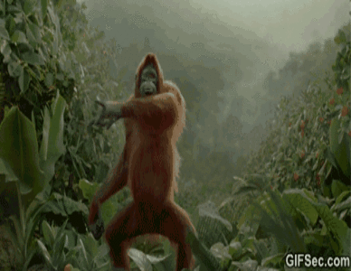 1. Гифка орангутанг танцует