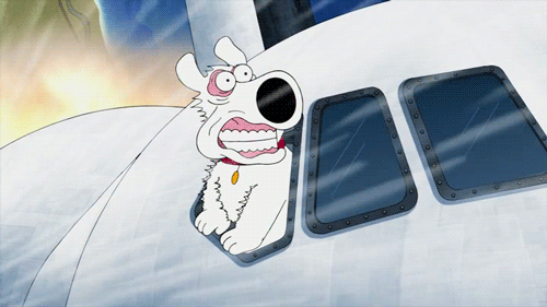 9. Гифка Самолёт. Здесь наш герой находится в самолёте и, по привычке всех собак в движущемся транспорте, высовывает голову в окно.