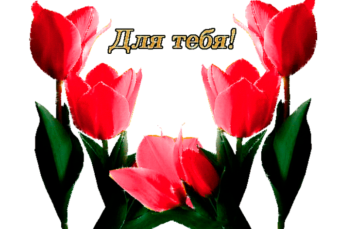 2. Гифка красные тюльпаны