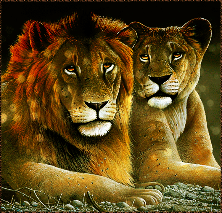 1. Гифка Анимация. Анимационная гифка с изображением льва и его львицы.