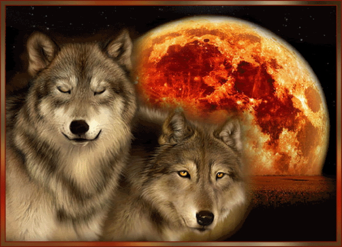 2. Гифка волки на фоне красной луны