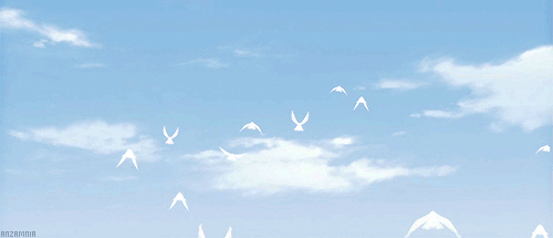 Гифки с птицами в небе