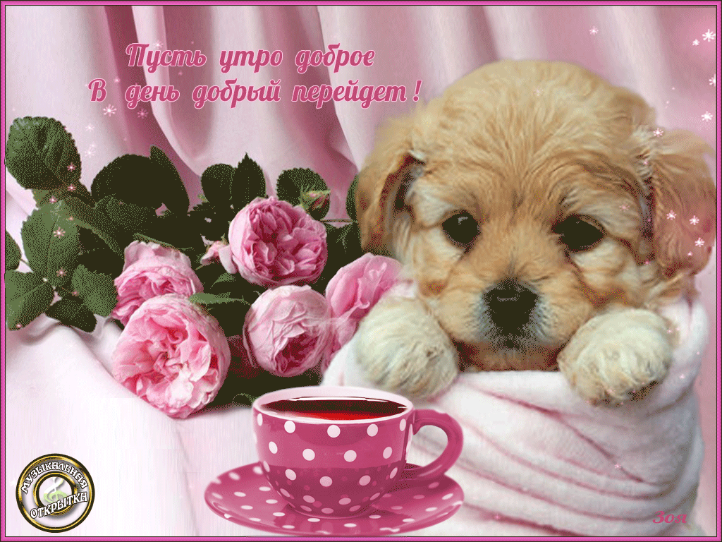 Утречка добренького и денечка. Добрый день открытки собака. Открытки доброе утро. Красивые пожелания доброго утра с животными. Открытки доброе утро с животными.