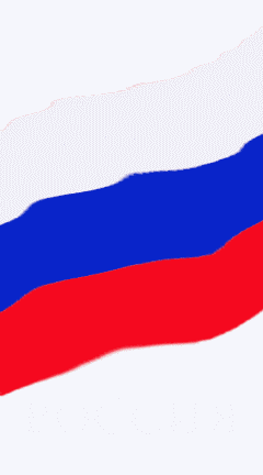 7. Гифка забавная кртинка с российским флагом