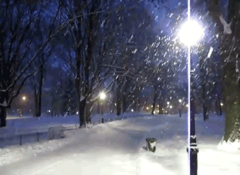 1.  Гифка Падающий снег в зимнем парке