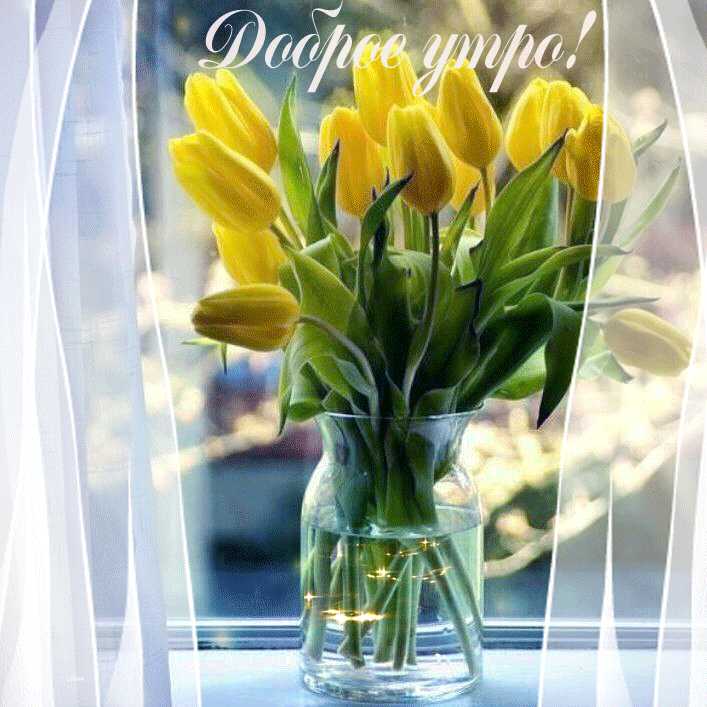 1. Гифка доброе весенне утро с тюльпанами