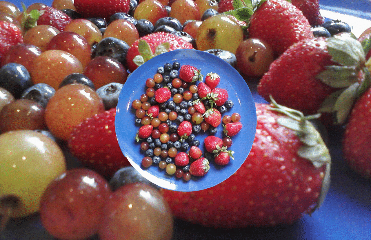 Чит на бесплатные фрукты. Живые ягоды. Фрукты гиф. Лето ягоды. Анимированные ягоды.