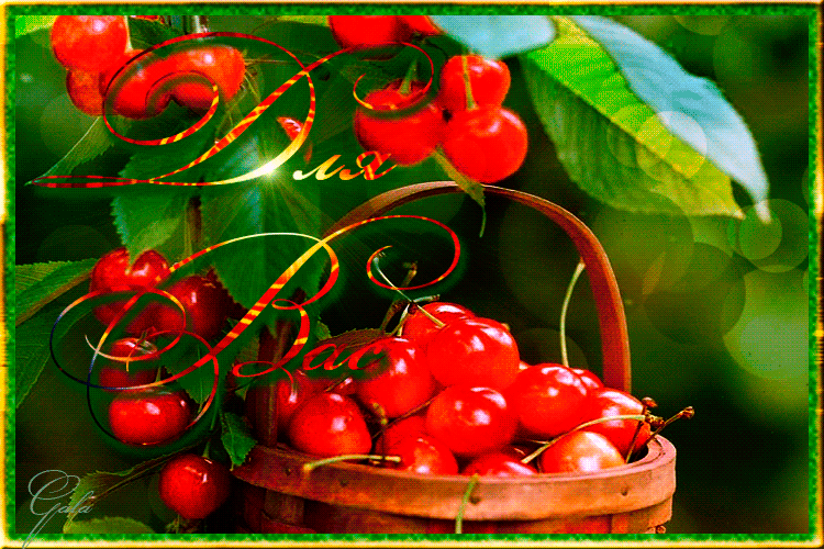 Песня вишня алая спелая минусовка. Доброе утро черешня. Анимашки фрукты ягоды. Доброе утро с ягодами черешни и вишни. Доброго дня черешня.