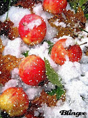 10. Гифка прекрасного настроения! С яблоками на снегу!