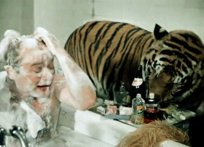 5. Гифка твоё лицо когда увидел тигра в ванной