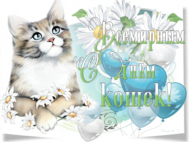 Гифки с днём кошек в России
