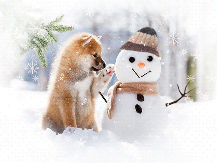 5. Гифка собака и снеговик