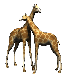 2. Gif картинка жираф на прозрачном фоне