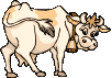 5. Gif корова на прозрачном фоне