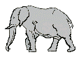 4. Гифка слон на прозрачном фоне