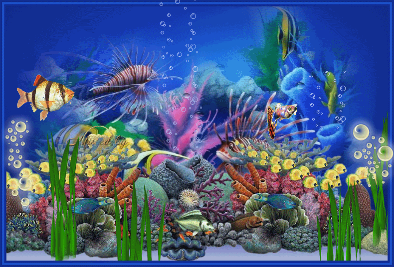 2. Gif картинка рыбки в аквариуме